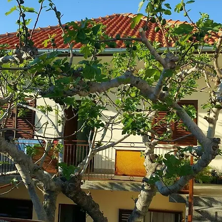 Ante Apartment *