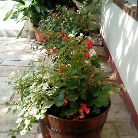 Ante Apartman